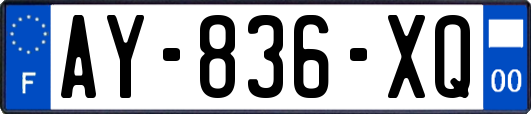 AY-836-XQ