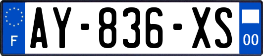 AY-836-XS