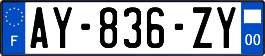 AY-836-ZY