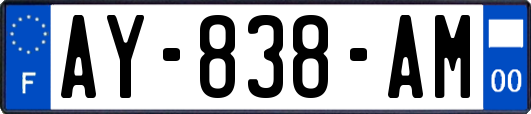 AY-838-AM