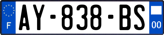 AY-838-BS