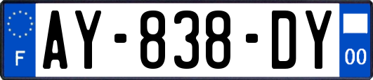 AY-838-DY