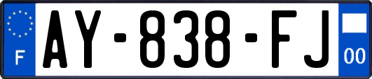 AY-838-FJ
