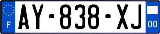 AY-838-XJ