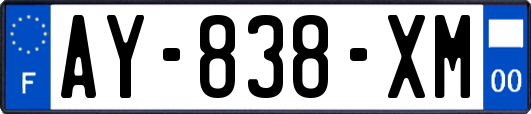 AY-838-XM