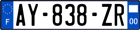 AY-838-ZR