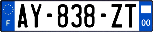 AY-838-ZT