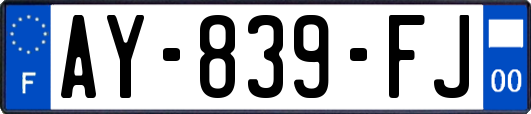 AY-839-FJ