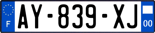 AY-839-XJ