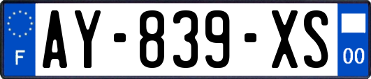 AY-839-XS