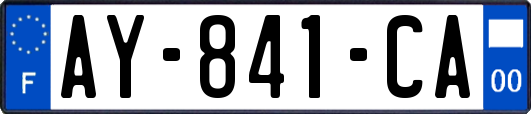 AY-841-CA