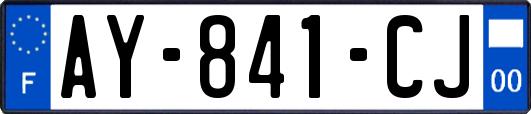 AY-841-CJ