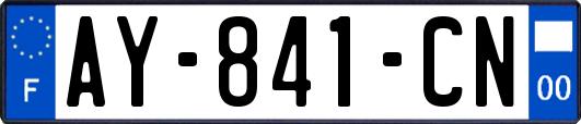AY-841-CN