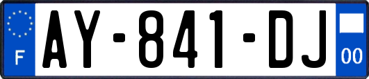 AY-841-DJ