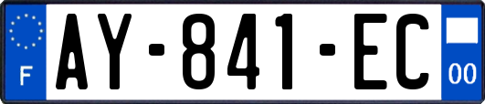 AY-841-EC