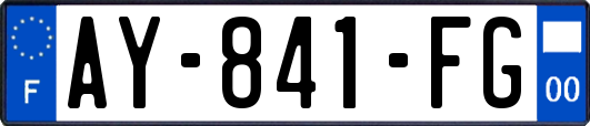 AY-841-FG
