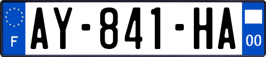 AY-841-HA