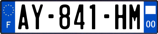 AY-841-HM