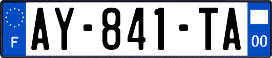 AY-841-TA