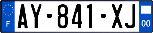 AY-841-XJ