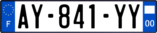 AY-841-YY