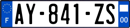 AY-841-ZS