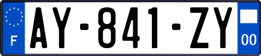 AY-841-ZY