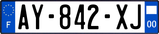 AY-842-XJ