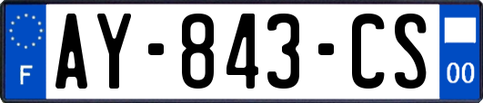 AY-843-CS