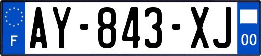 AY-843-XJ