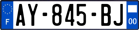 AY-845-BJ