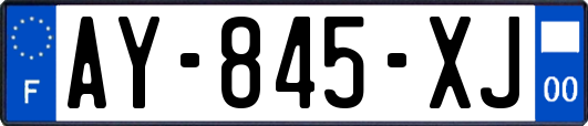 AY-845-XJ