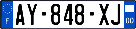 AY-848-XJ