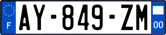 AY-849-ZM
