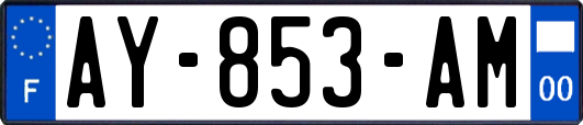 AY-853-AM