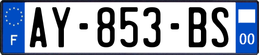 AY-853-BS