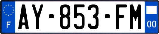AY-853-FM