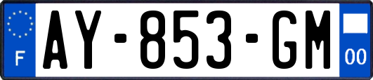 AY-853-GM