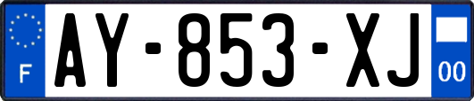 AY-853-XJ