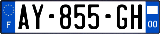 AY-855-GH
