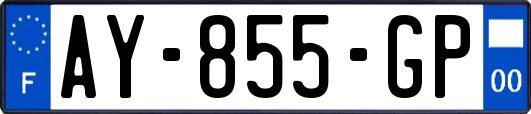 AY-855-GP