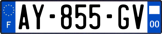 AY-855-GV