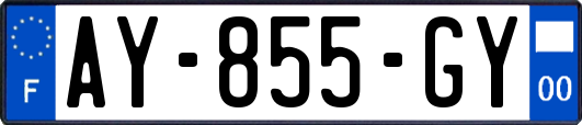 AY-855-GY