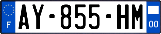 AY-855-HM