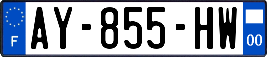 AY-855-HW