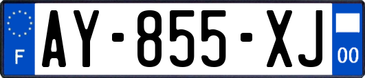 AY-855-XJ