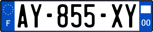 AY-855-XY