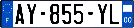 AY-855-YL