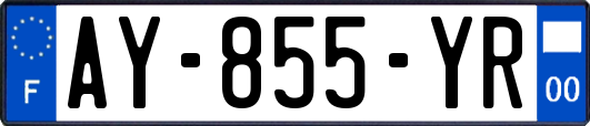 AY-855-YR