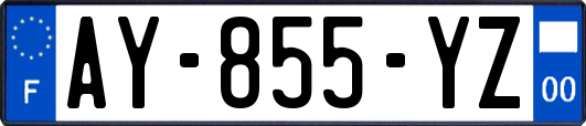 AY-855-YZ